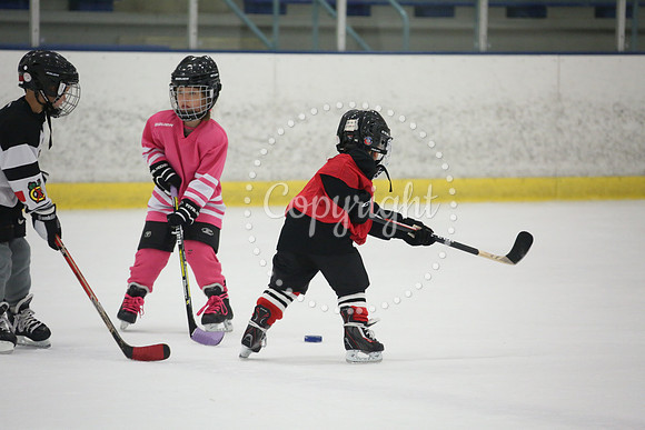Games On The Ice (91)