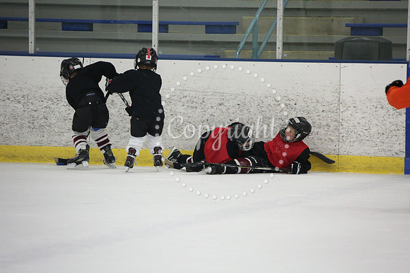 Games On The Ice (137)