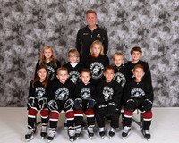 Mite Minor 3
