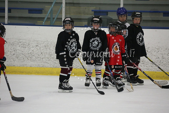 Games On The Ice (9)