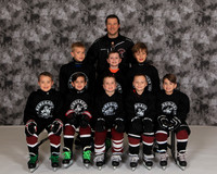 Mite Minor 4