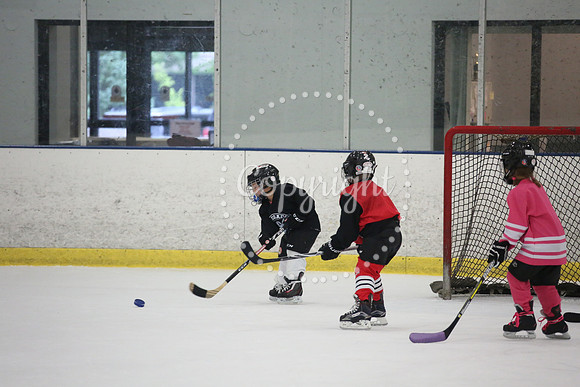 Games On The Ice (88)