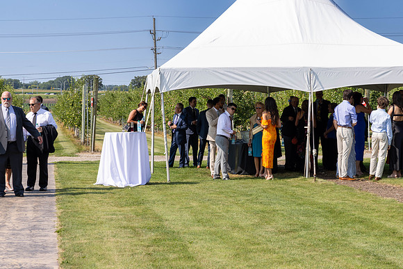 AY2A2652