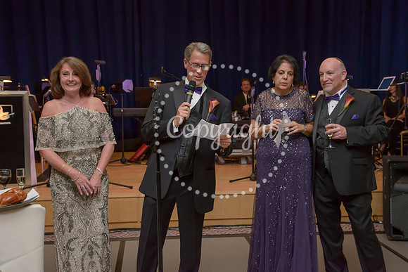 Speeches and Toasts (64)