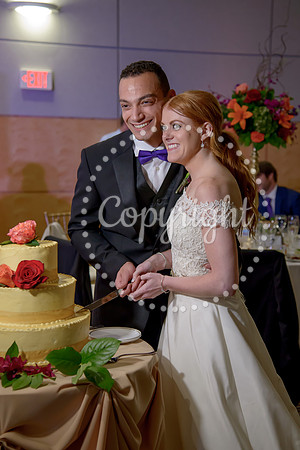 The Cake (39)