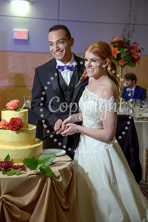 The Cake (38)