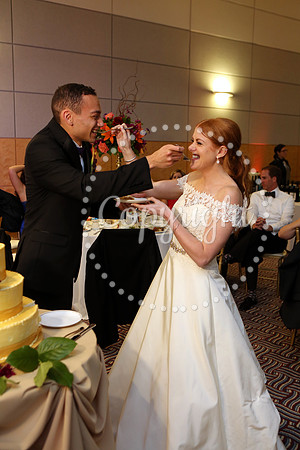 The Cake (19)