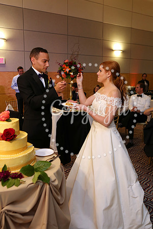 The Cake (15)