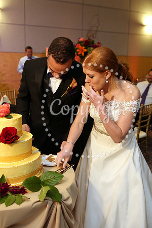 The Cake (12)