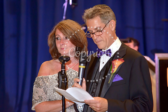 Speeches and Toasts (112)