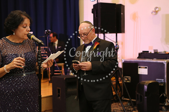 Speeches and Toasts (101)