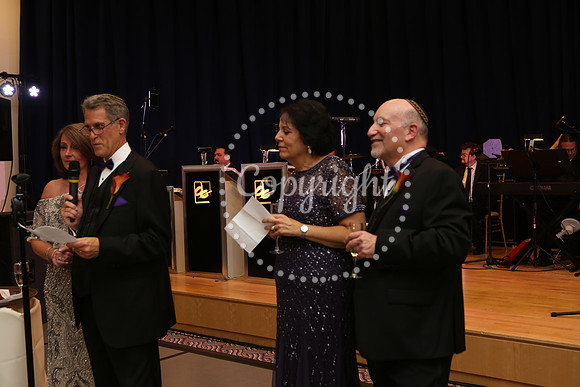 Speeches and Toasts (30)