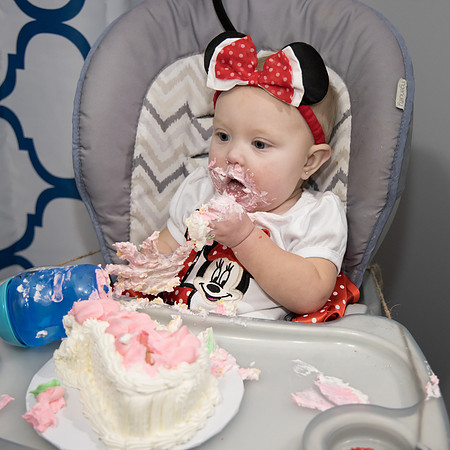 Brianna's 1st Bday-2_20