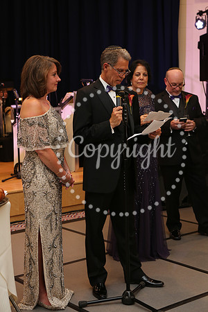 Speeches and Toasts (63)