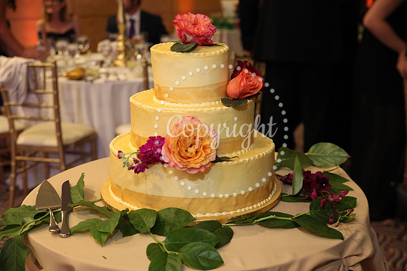 The Cake (27)