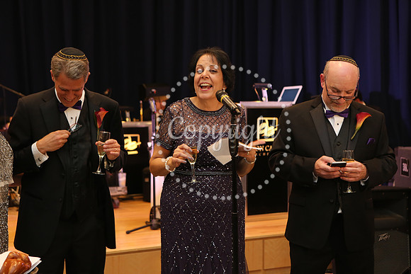 Speeches and Toasts (95)
