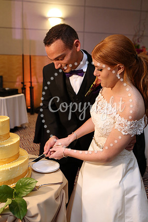 The Cake (5)
