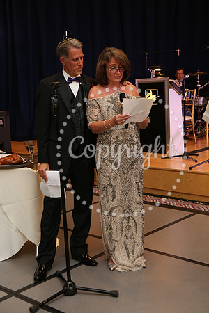 Speeches and Toasts (15)