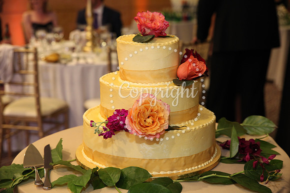 The Cake (28)