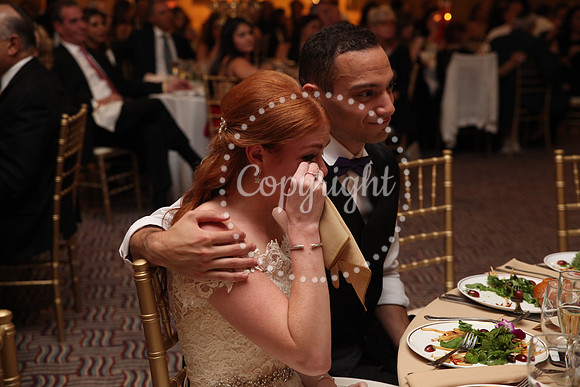 Speeches and Toasts (120)