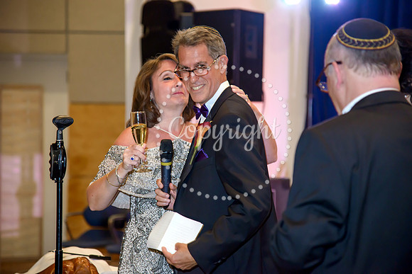 Speeches and Toasts (119)