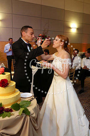The Cake (17)