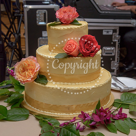 The Cake (37)