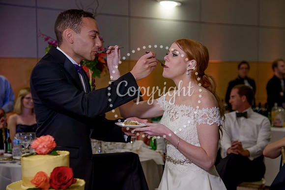 The Cake (44)