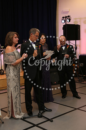 Speeches and Toasts (65)