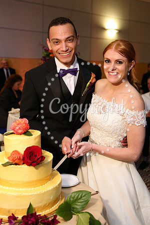 The Cake (1)
