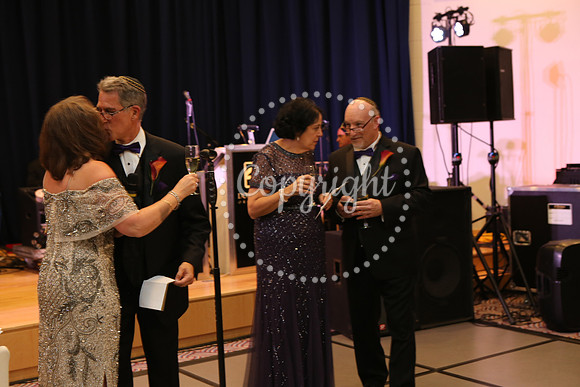 Speeches and Toasts (91)