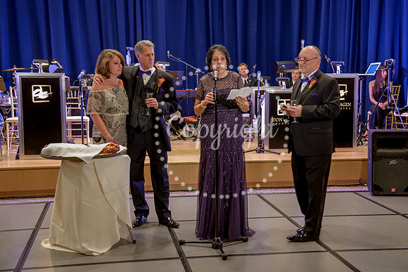 Speeches and Toasts (138)