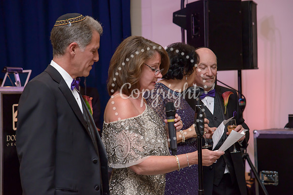 Speeches and Toasts (43)