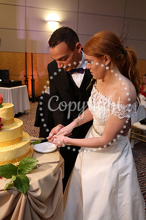 The Cake (8)