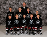 Mite Minor 6