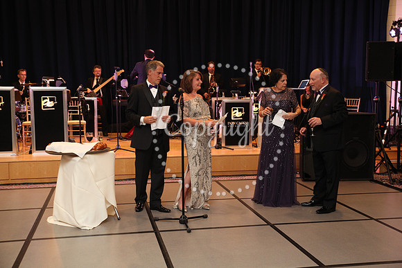 Speeches and Toasts (25)