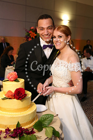 The Cake (2)