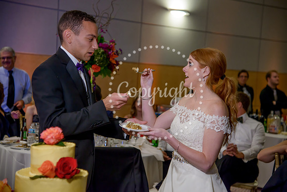 The Cake (43)