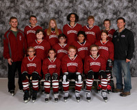 Pro Team