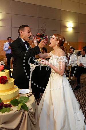 The Cake (16)