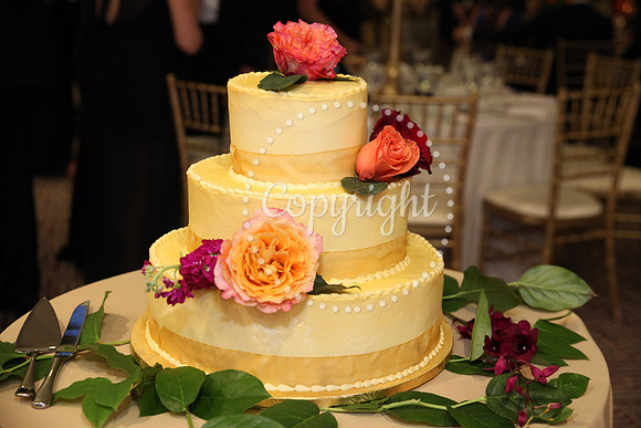 The Cake (29)