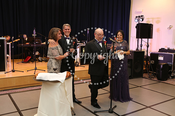 Speeches and Toasts (115)
