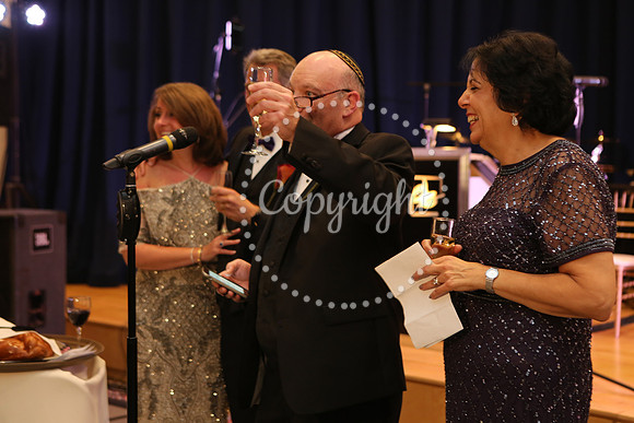 Speeches and Toasts (123)