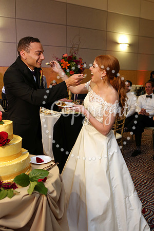 The Cake (23)