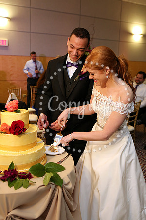 The Cake (11)