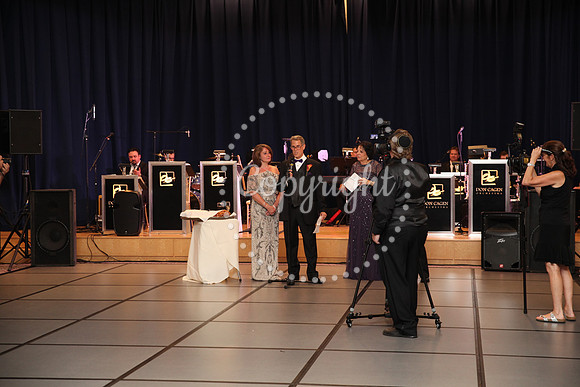 Speeches and Toasts (96)