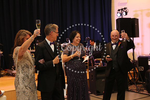 Speeches and Toasts (88)