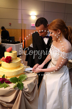 The Cake (9)