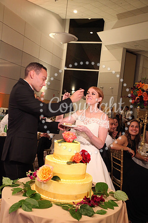 The Cake (36)