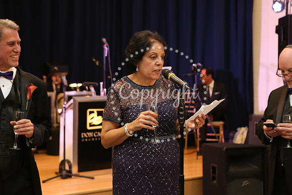 Speeches and Toasts (100)
